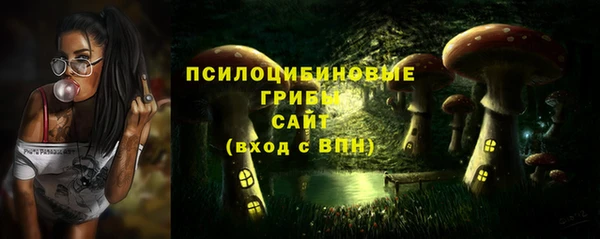 spice Горно-Алтайск