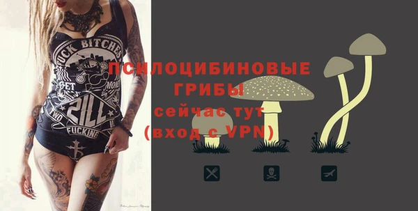 хмурый Горняк