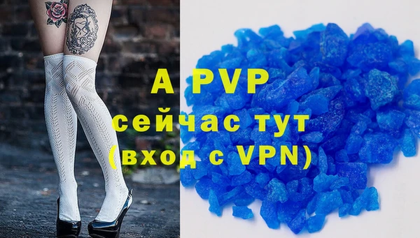 хмурый Горняк