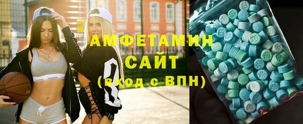 гидра Гусь-Хрустальный